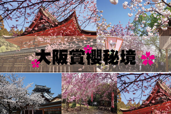 日本櫻花 大阪櫻花祭超人氣景點 大阪城 造幣局 萬博紀念公園 櫻之宮公園 五月山公園 Asiayo出遊趣