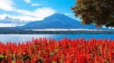 富士山旅遊攻略