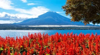 富士山旅遊攻略