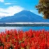 富士山旅遊攻略