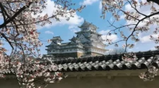 日本一日遊預訂建議&懶人包