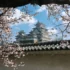 日本一日遊預訂建議&懶人包
