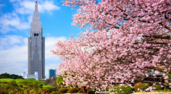 2026日本賞櫻旅行團推薦｜日本櫻花季來襲！超人氣TOP8日本賞櫻團+各地櫻花景點推薦🌸