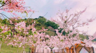 2026台灣親子露營推薦｜5間免裝備/親子友善露營區推薦，附餐食豪華露營、溫泉露營車全收錄！